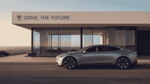Pinnacle Real Estate Group and Faraday Future partnership in Southern California